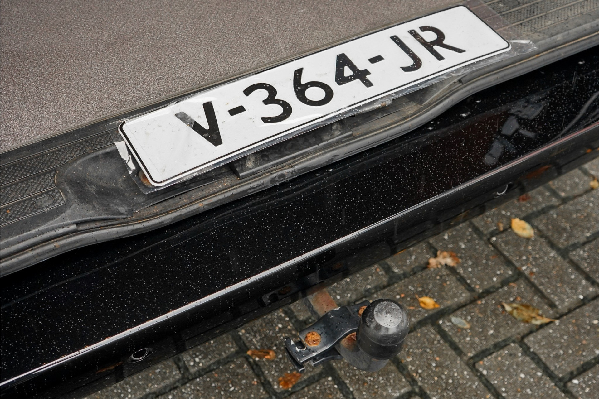 48645957-36.jpg